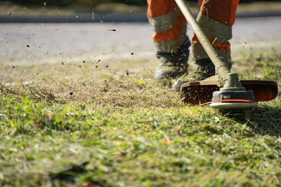 Comment nettoyer une terrasse verdie par la mousse sans eau de Javel et entretenir ses abords